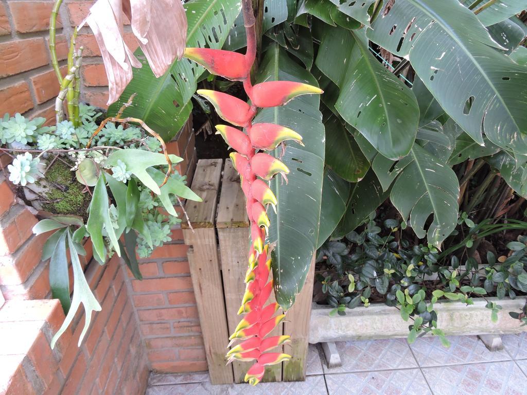 Inn Don Alberto's 2*